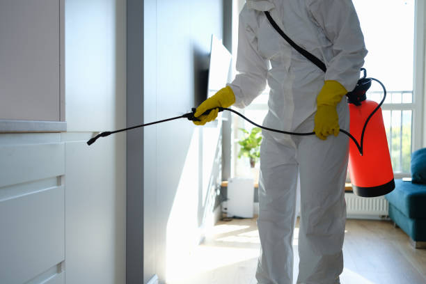 Best Crawl Space Mold Remediation in Leland Grove, IL