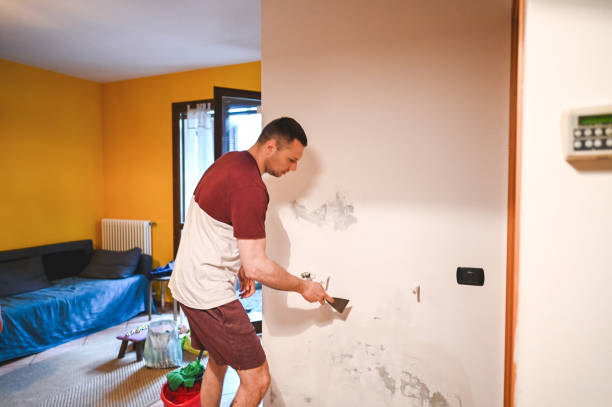 Best Localized Mold Remediation (e.g., coastal areas, humid climates) in Leland Grove, IL